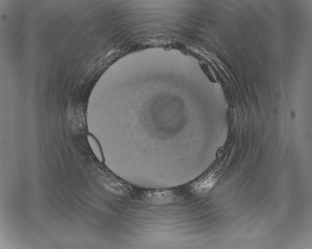 X0000067840517200605111646