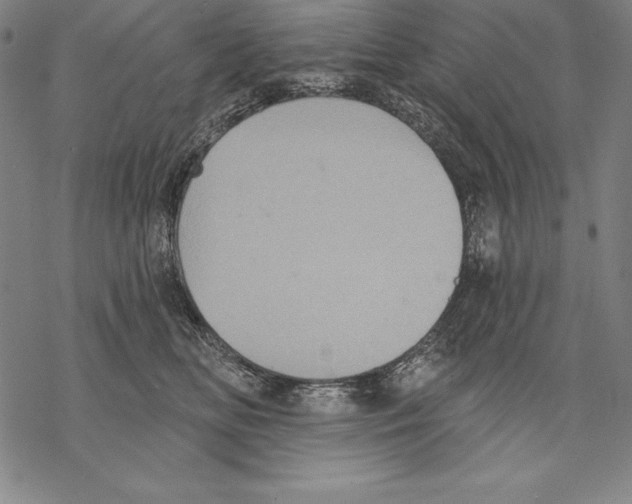 X0000067840518200605111646