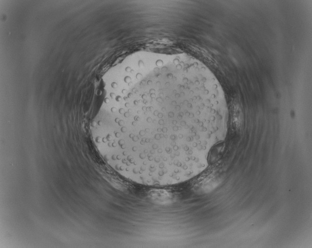 X0000067840519200605111646