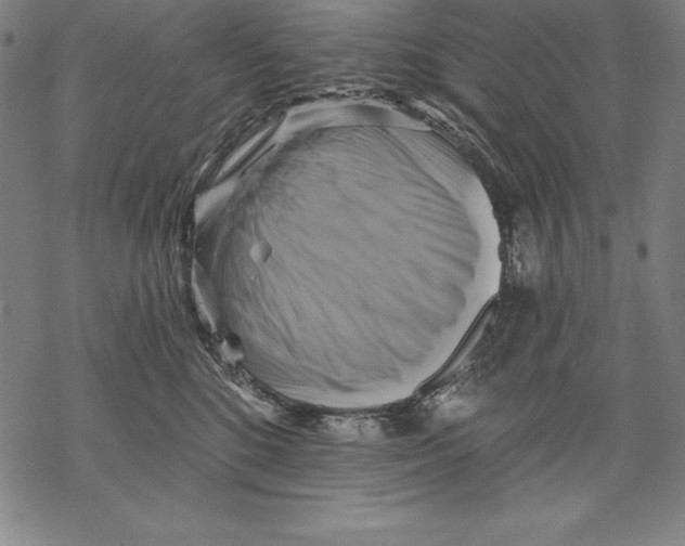 X0000067840520200605111646