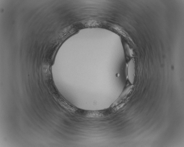 X0000067840521200605111646