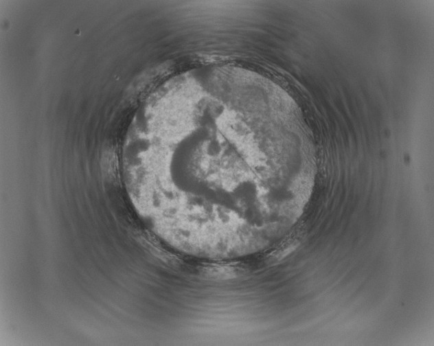 X0000067840523200605111646