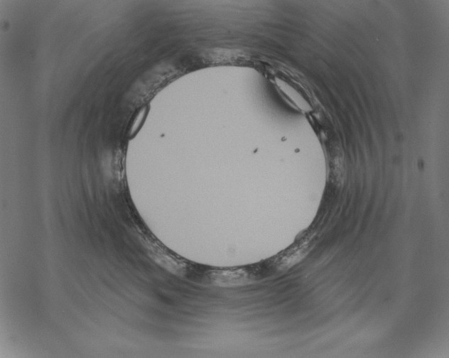 X0000067840525200605111646