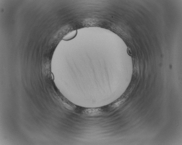 X0000067840526200605111646