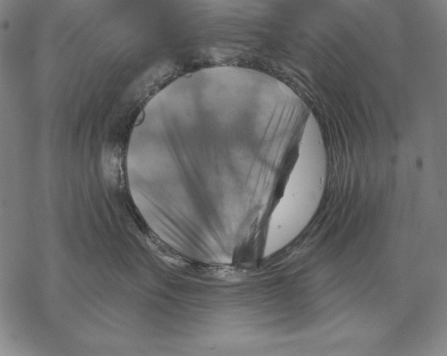 X0000067840527200605111646