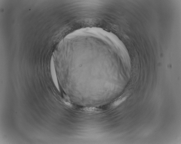 X0000067840528200605111646