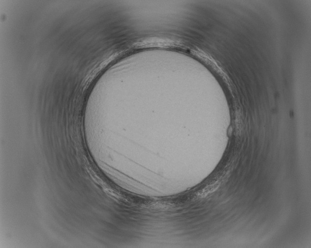 X0000067840529200605111645