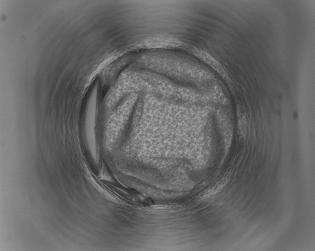 X0000067840530200605111645