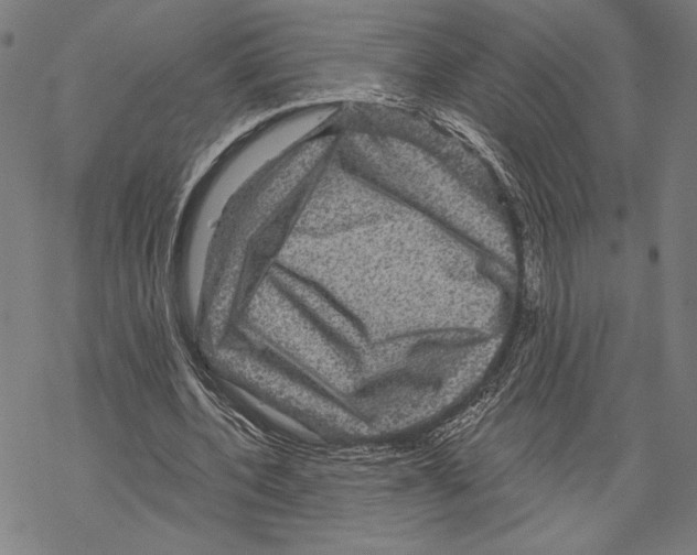 X0000067840532200605111645