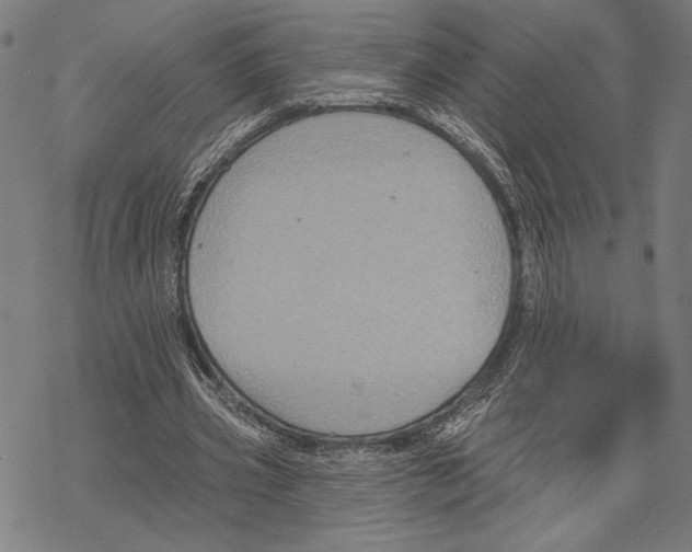 X0000067840533200605111645