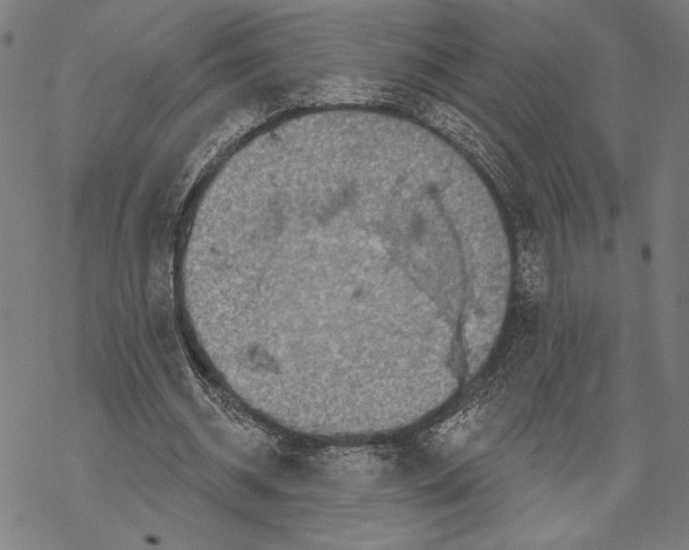 X0000067840534200605111645