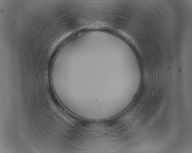 X0000067840535200605111645