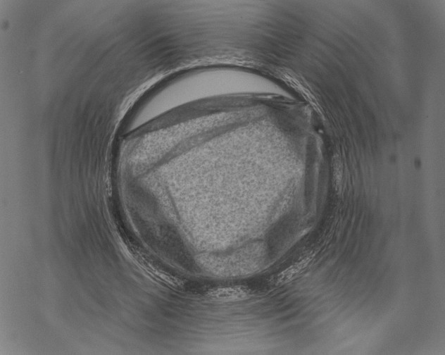 X0000067840536200605111645