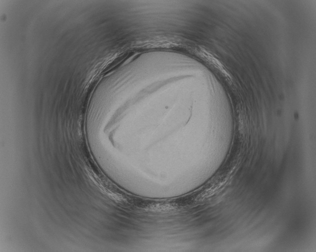 X0000067840537200605111645