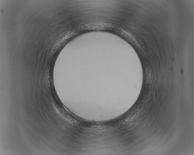 X0000067840538200605111645