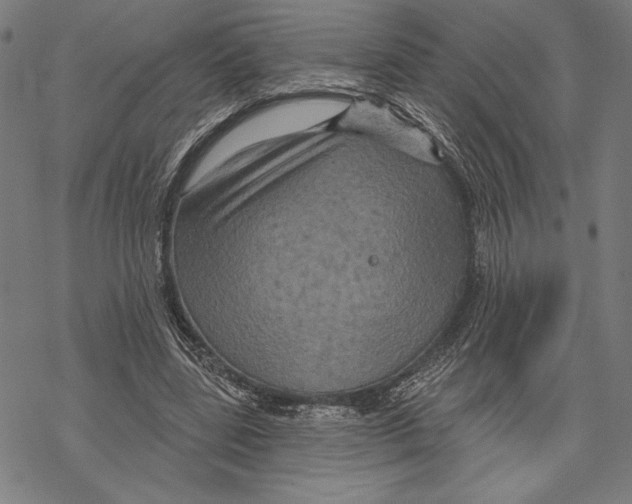 X0000067840539200605111645