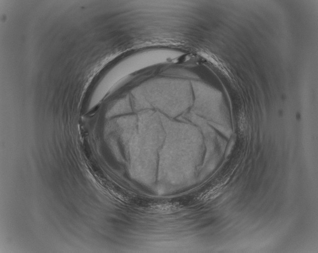 X0000067840540200605111645