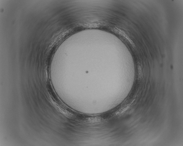 X0000067840541200605111645