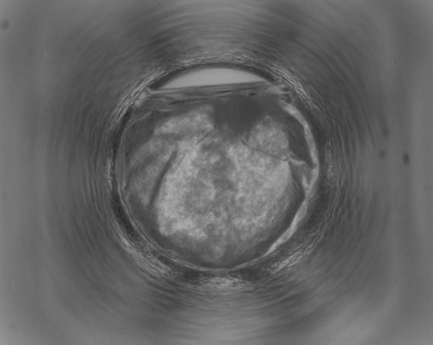 X0000067840542200605111645