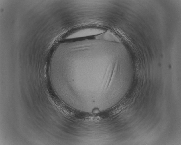 X0000067840543200605111645