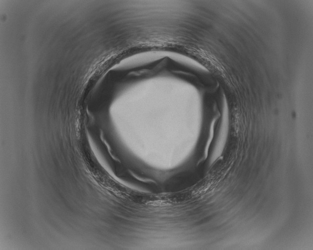 X0000067840544200605111645