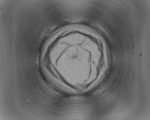 X0000067840545200605111645