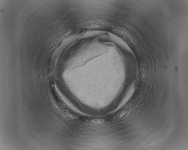 X0000067840546200605111645