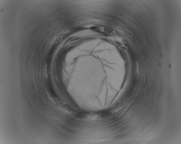 X0000067840547200605111645