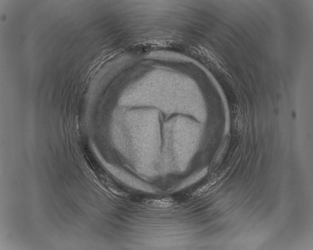 X0000067840548200605111645