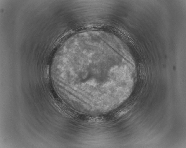 X0000067840550200605111645