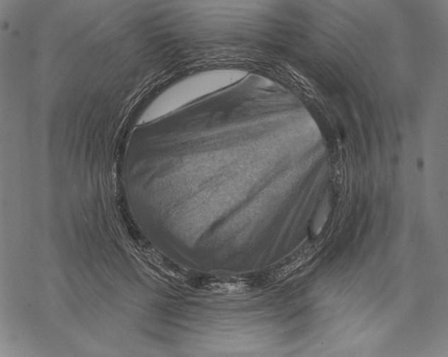 X0000067840552200605111645