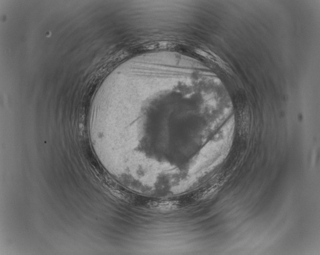 X0000067840553200605111645