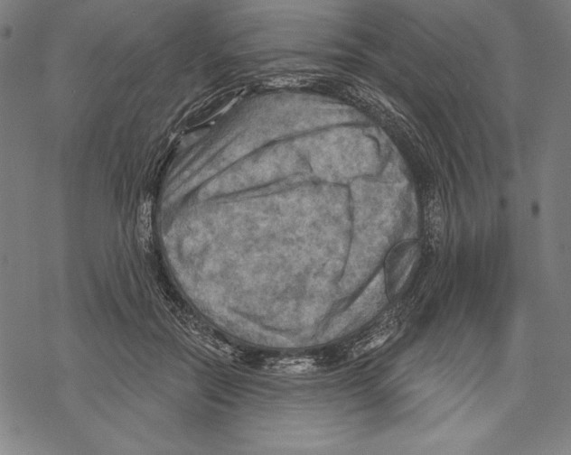 X0000067840554200605111645