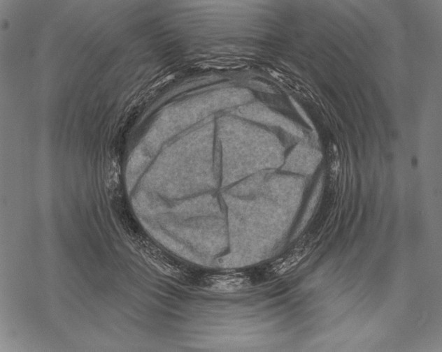 X0000067840555200605111645