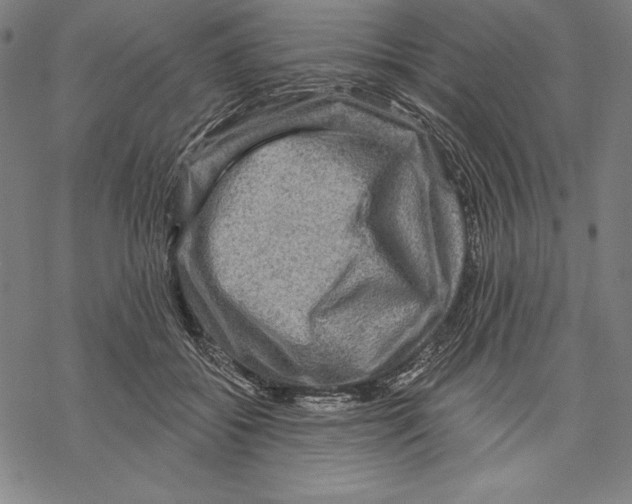 X0000067840556200605111645