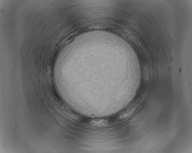 X0000067840557200605111645