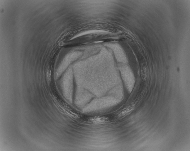 X0000067840558200605111645