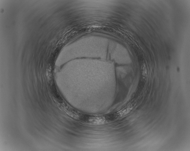 X0000067840559200605111645