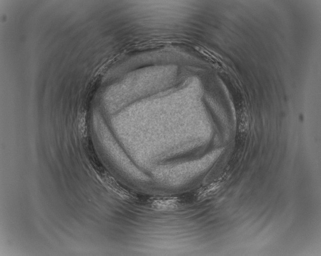 X0000067840560200605111645