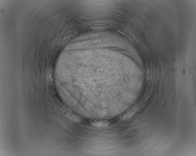 X0000067840561200605111645