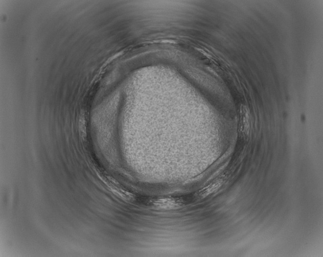 X0000067840562200605111645