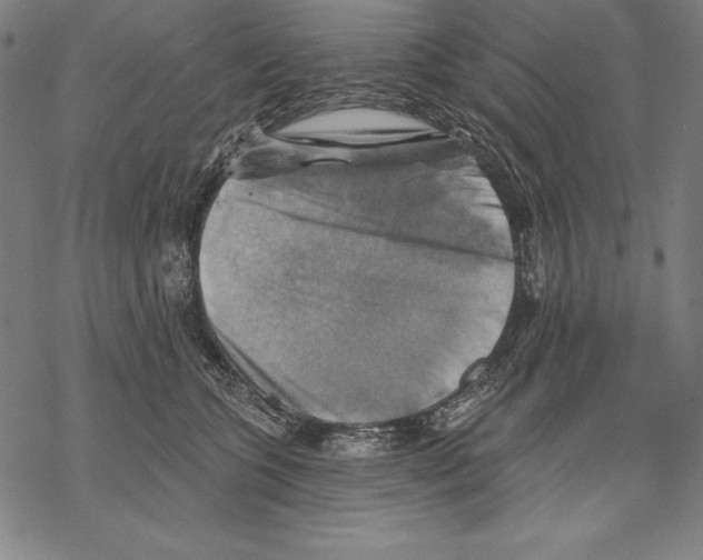 X0000067840563200605111645