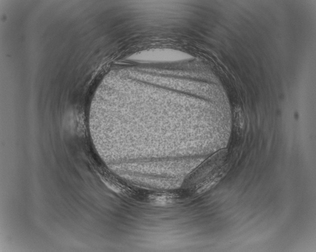 X0000067840564200605111645