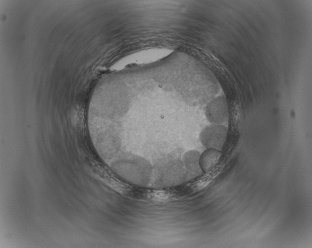 X0000067840565200605111645