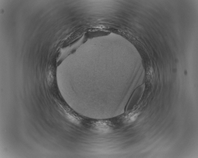 X0000067840566200605111645