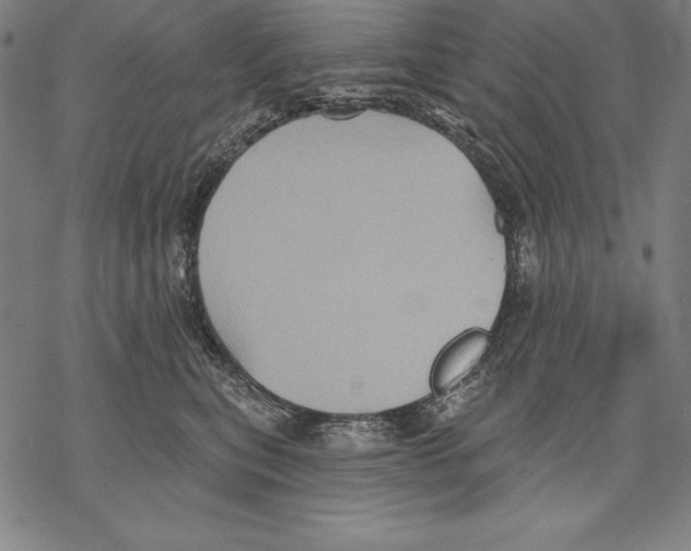 X0000067840567200605111645