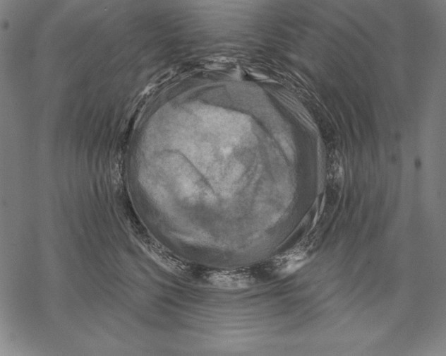 X0000067840568200605111645