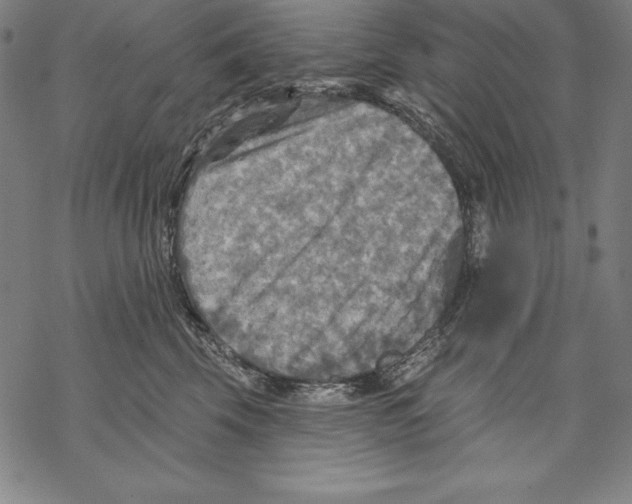 X0000067840569200605111645