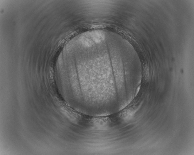 X0000067840571200605111645