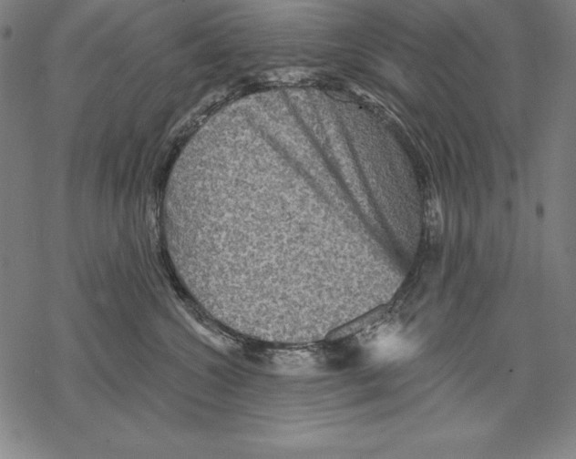 X0000067840572200605111646